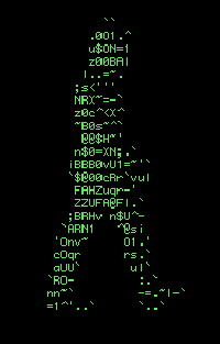 E404